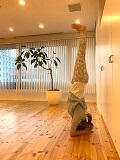 巡りを良くするヨガ~内臓が喜ぶ逆転ポーズの手ほどき~
