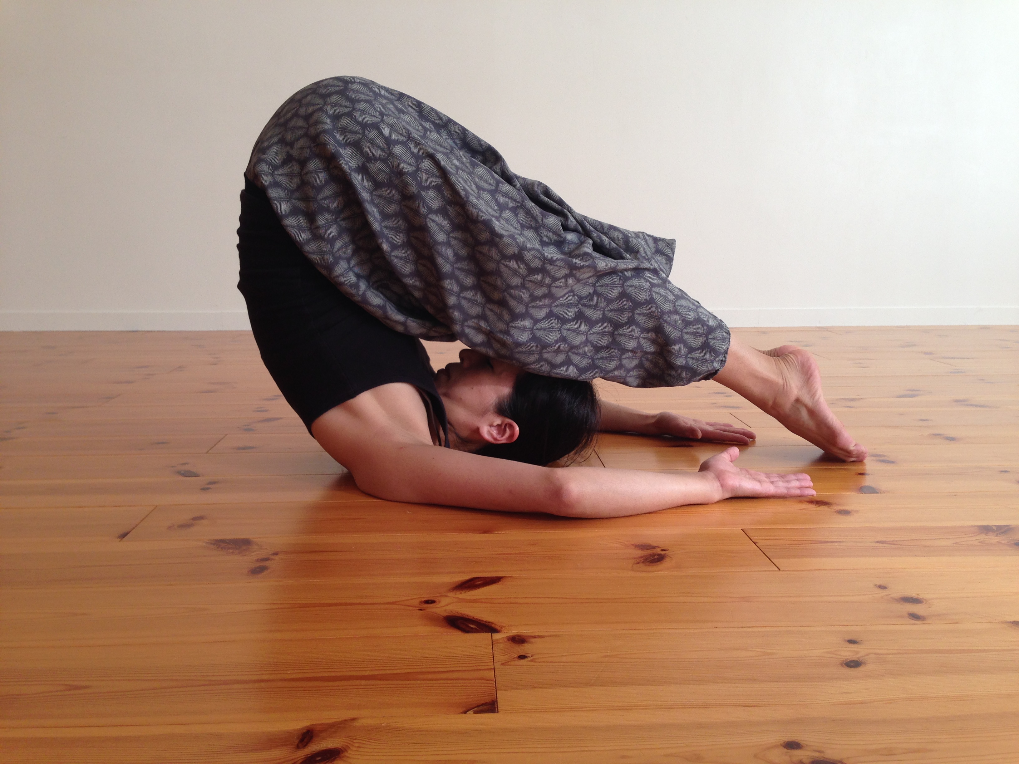 Yin Yoga (陰ヨガ)「背骨にフォーカス」~じっくりと時間を掛けて、背骨周り、身体の背面を刺激して、全身を整えましょう!~